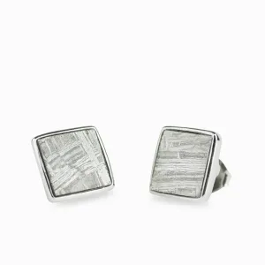 Gibeon Meteorite Stud Earrings