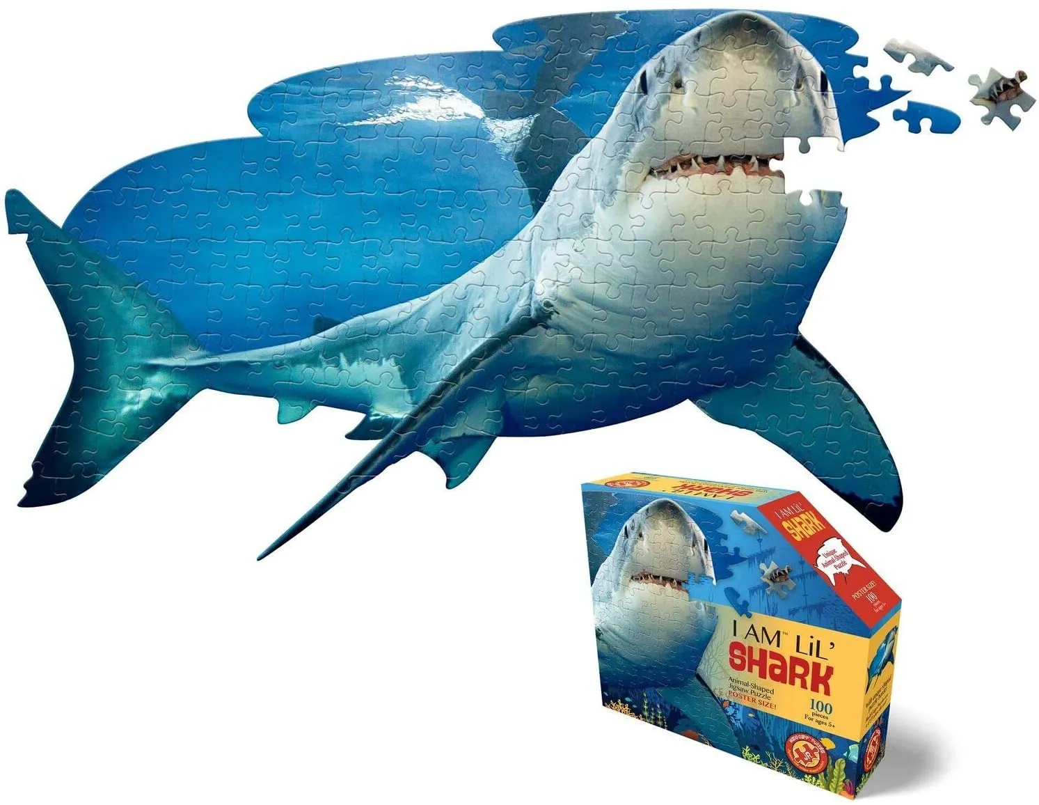 I AM LIL' SHARK Puzzle