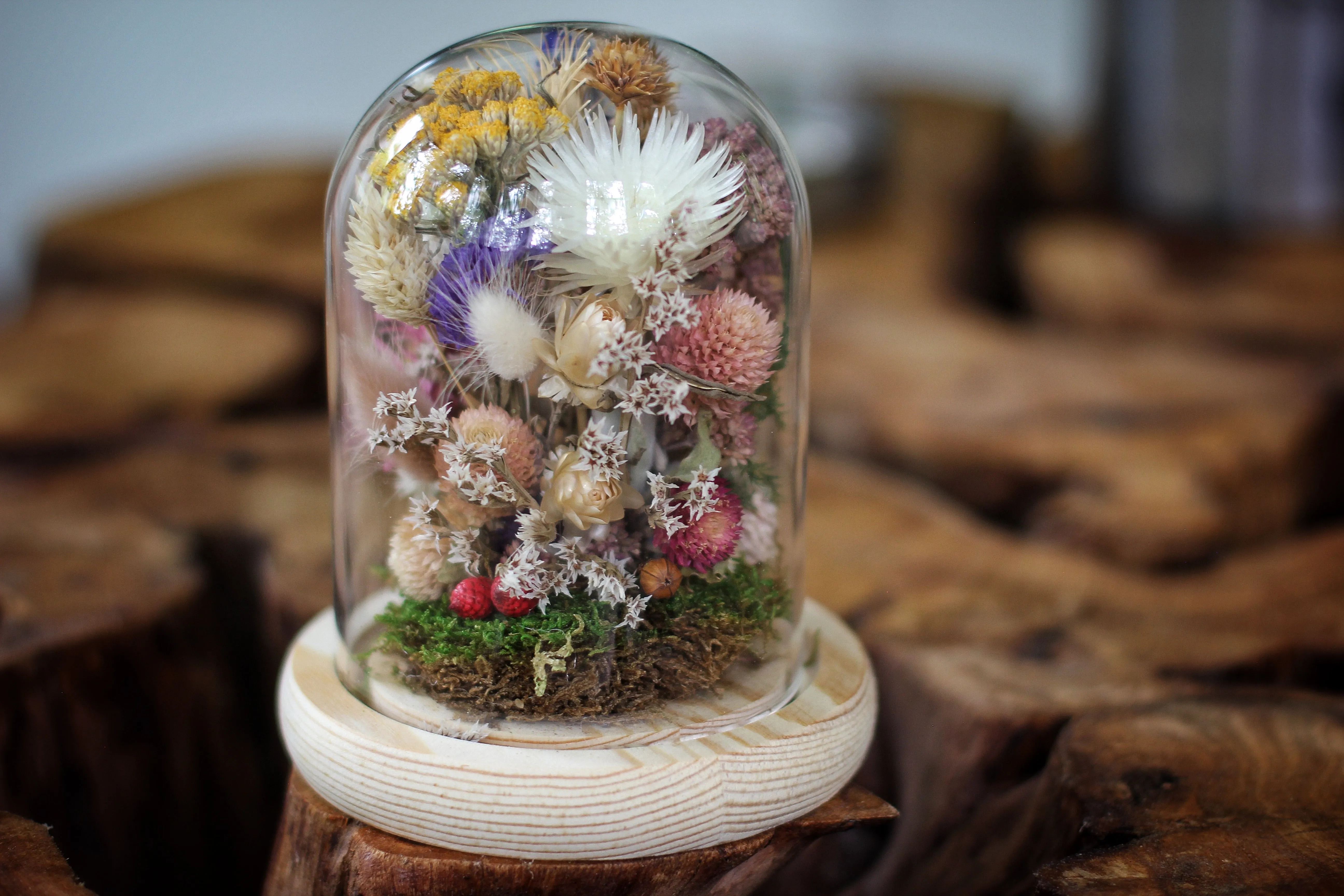 Medium / Small Dried Flowers Glass Dome / Cloche