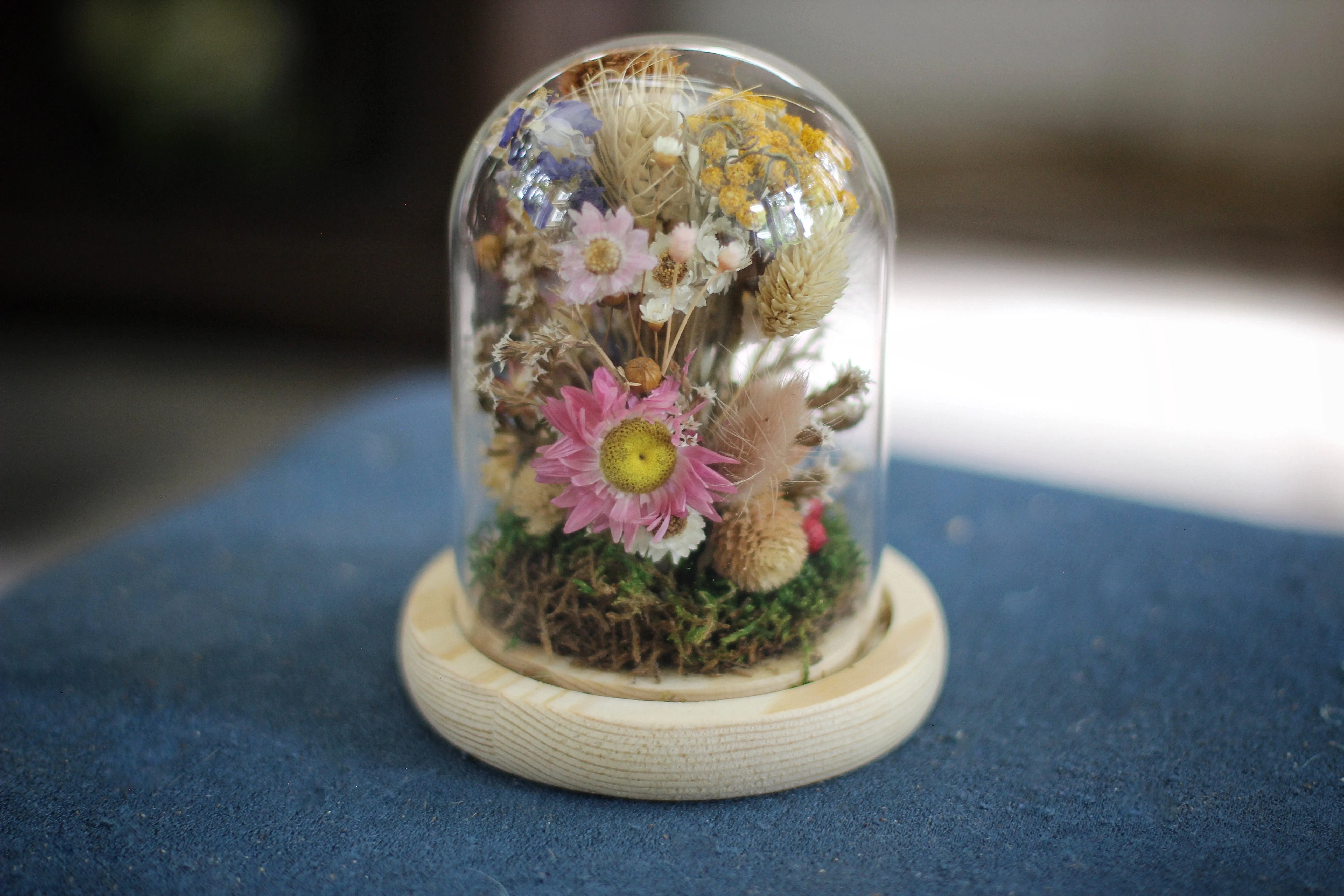 Medium / Small Dried Flowers Glass Dome / Cloche