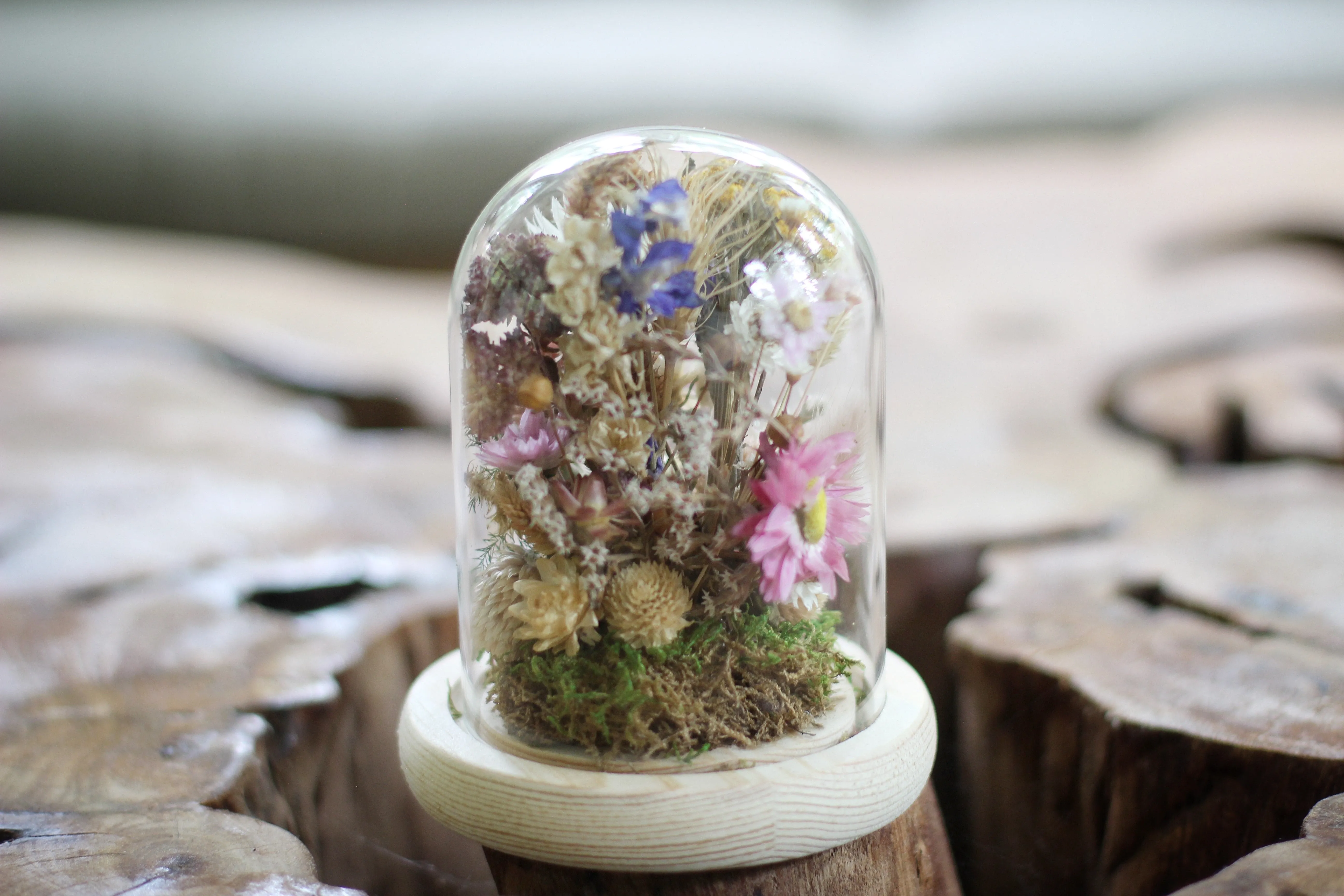 Medium / Small Dried Flowers Glass Dome / Cloche