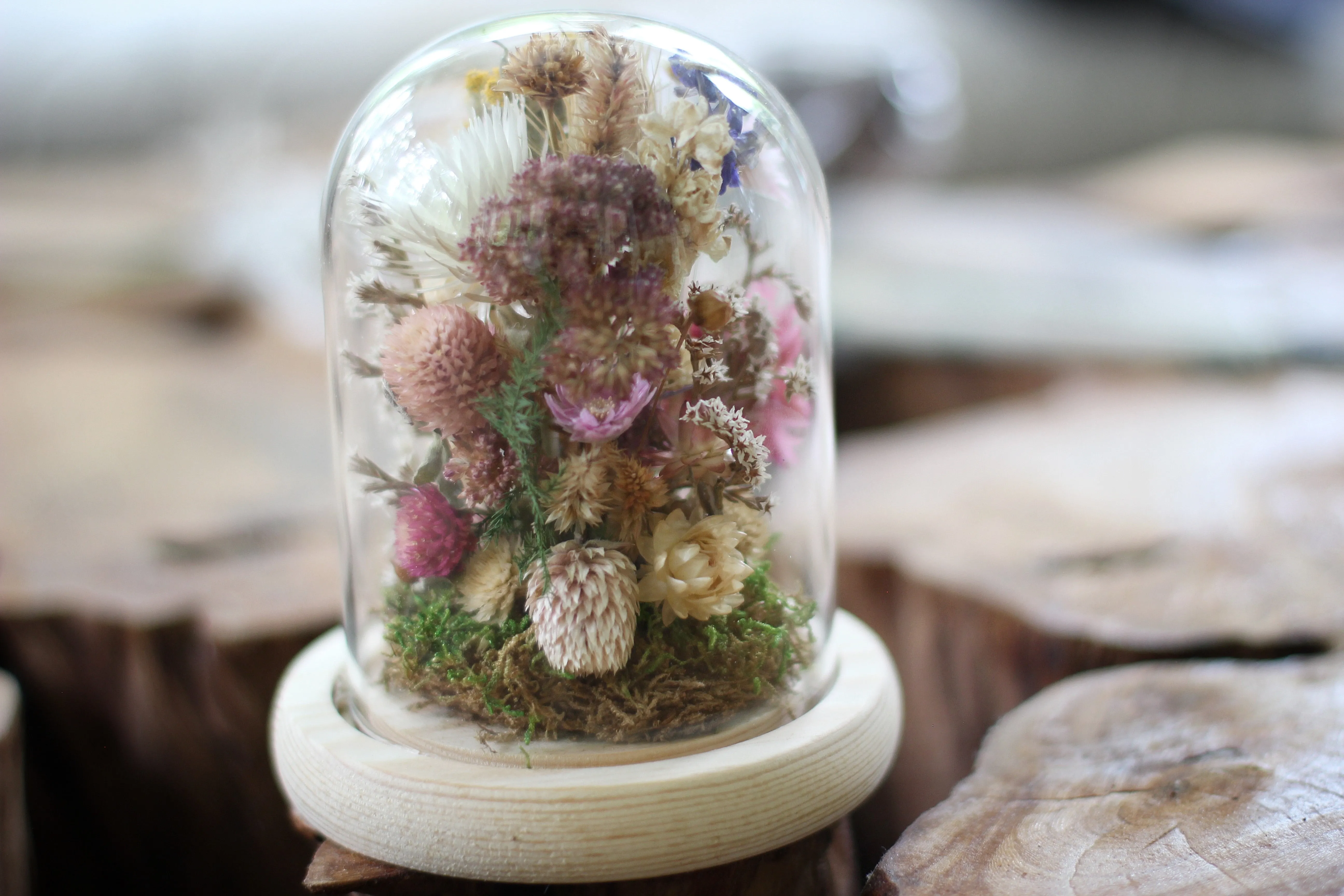 Medium / Small Dried Flowers Glass Dome / Cloche